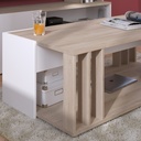 TABLE BASSE SHADE 2