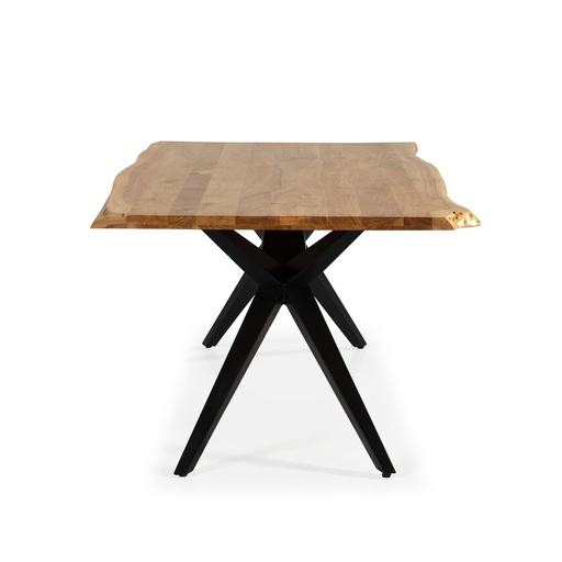 [16245] TABLE RETANGLE MUDRI 200CM ACACIA PIEDS EN METAL 200X100X76 BOIS D'ACCACIA,PIEDS METAL